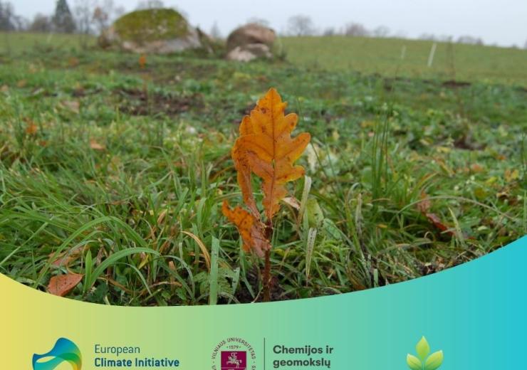 Ilzenbergo dvaro ganykloje pasodintas pirmas eksperimentinis agromiškininkystės laukas